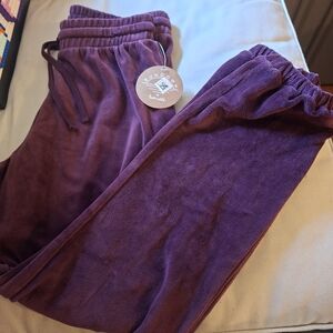 Sundown By Splendid Plush Joggers